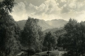 England Lake District Borrowdale Valley Forest Old Amateur Photo 1930