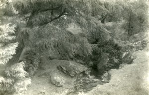 England Lake District Pony Track near Keswick Old Amateur Photo 1930