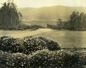 USA California Palos Verdes Peninsula Golf Course Old Photo 1920's