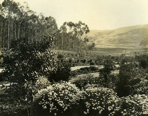 USA California Palos Verdes Peninsula Golf Course Old Photo 1920's