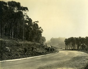 USA California Palos Verdes Peninsula Road Old Photo 1920's