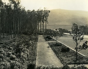 USA California Palos Verdes Peninsula Golf Garden Old Photo 1920's