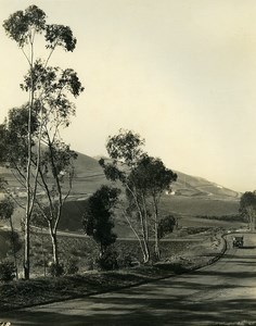 USA California Palos Verdes Peninsula Panorama Automobile Old Photo 1920's
