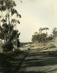 USA California Palos Verdes Peninsula Road Automobile Old Photo 1920's