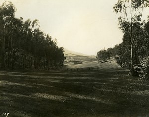 USA California Palos Verdes Peninsula Golf Course Old Photo 1920's