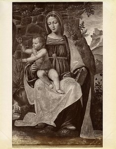 Italy Certosa di Pavia Bernardino Luino Madonna & Child Old Photo Brogi 1880