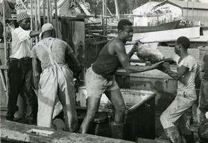 Africa Senegal Fishermen Fishing Boat Old Photo 1960