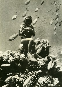 France Plongeur et Poissons Photographie Sous Marine Ancienne Photo 1960