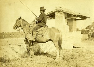 Italy around Naples? Peasant on his horse Old Photo 1890