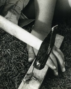 Israel Amiram Little Israeli Boy Child Hammer Old Photo Francis Maziere 1969