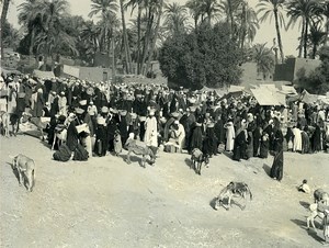 Egypt Faouzi the little Egyptian Fodder old Photo Dominique Darbois 1965