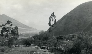 Ecuador Micias Boy of the Andes Landscape old Photo Gerard Beauvais 1965