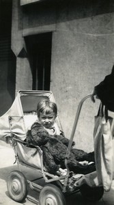 France Lille Toy Teddy Bear Children Game Pram Old Amateur Photo 1950