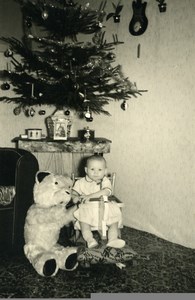 France Stuffed Bear Toy Children Game Christmas Tree Old Amateur Photo 1950