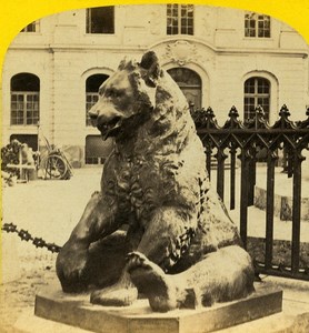 Bear Bern Switzerland Old Stereoview Photo Braun 1865