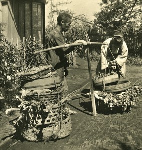 Japan Vegetable Street Merchant Old Stereoview Photo NPG 1900