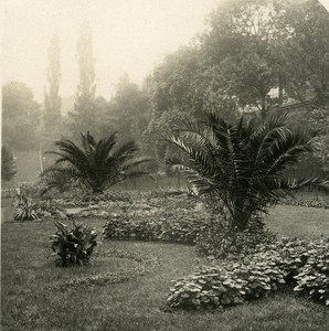 Germany Dresden Garden Place old Stereoview Photo NPG 1900