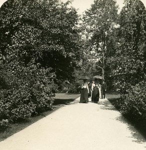 Germany Dresden Castle Garden old Stereoview Photo NPG 1900