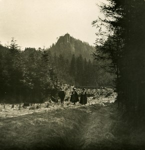 Germany Sächsische Schweiz Schrammsteine old Stereoview Photo NPG 1900