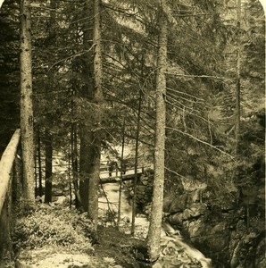 Germany Sächsische Schweiz Uttenwalder Grund old Stereoview Photo NPG 1900