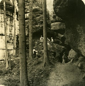 Germany Sächsische Schweiz Lattengrund old Stereoview Photo NPG 1900