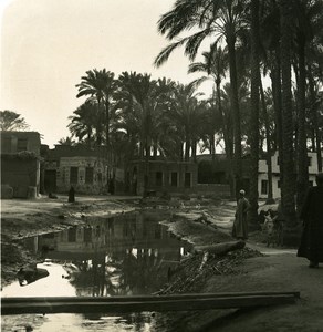 Egypt Cairo Street Scenery old Stereoview Photo NPG 1900