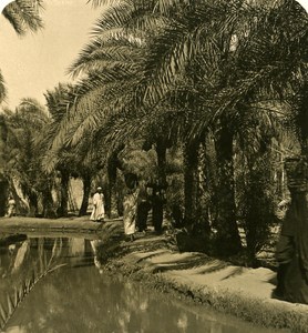 Egypt Cairo Irrigation channel old Stereoview Photo NPG 1900