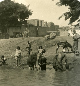 Egypt Cairo Irrigation channel old Stereoview Photo NPG 1900