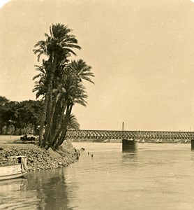 Egypt Cairo English Bridge old Stereoview Photo NPG 1900