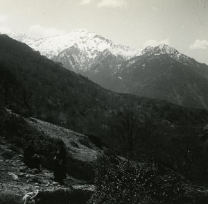 France Corsica Vizzavona Pass Bocognano Monte Renoso Stereoview Photo 1920