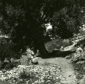 France Corsica Corte around Tavignano Citadel old Stereoview Photo 1920