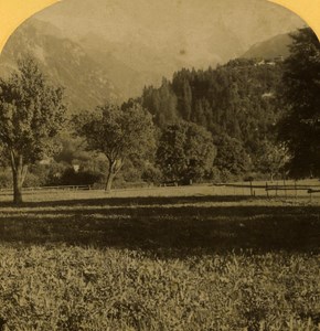 Switzerland Alps Eiger & Monch old Gabler Stereo Photo 1885