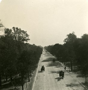 Austria Wien Prater Avenue old NPG Stereo Photo 1900