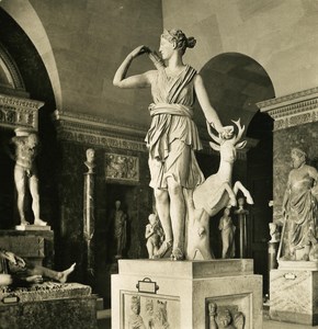 France Paris Louvre Museum Diana & Doe Sculpture old NPG Stereo Photo 1900