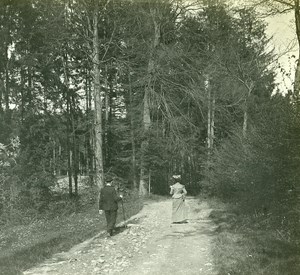 Switzerland Alps Sonnenberg Forest old Possemiers Stereo Photo 1910