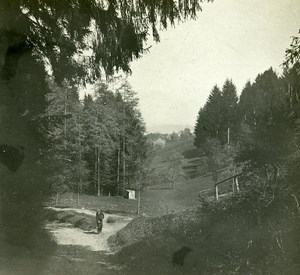Switzerland Alps Sonnenberg Forest old Possemiers Stereo Photo 1910