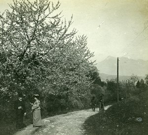 Switzerland Alps Sonnenberg Forest old Possemiers Stereo Photo 1910