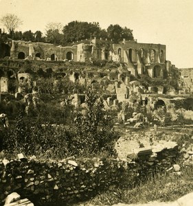 Italy Roma Forum Roman Palatino old NPG Stereo Photo 1900