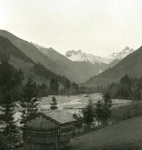 Germany Bavarian Highlands Spielmannsau old NPG Stereo Photo 1900