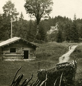 Germany Bavarian Highlands Freiberg Hotel Oberstdorf NPG Stereo Photo 1900