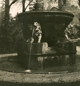 Germany Bavarian Highlands Hohenschwangau old NPG Stereo Photo 1900