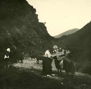 France Pyrenees Luchon la Burbe Valley old Possemiers Stereo Photo 1920