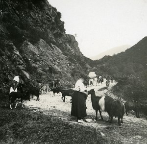 France Pyrenees Luchon la Burbe valley old Possemiers Stereo Photo 1920