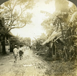 Philippines Bamboo near Manila old Griffith Stereo Photo 1900