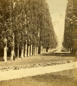 France Second Empire Versailles Castle Garden Old Stereo Photo 1868