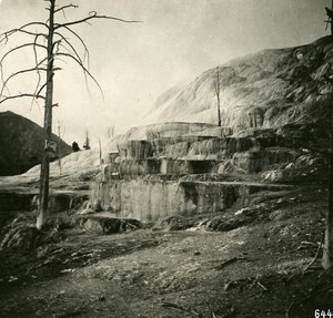 USA Yellowstone Park Terrace of Large Geyser Old NPG Stereo Photo 1900