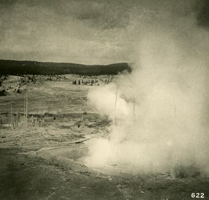 USA Yellowstone Park At the Lower Geyser Basin Old NPG Stereo Photo 1900