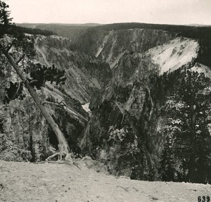 USA Yellowstone Park the Grand Canyon Old NPG Stereo Photo 1900