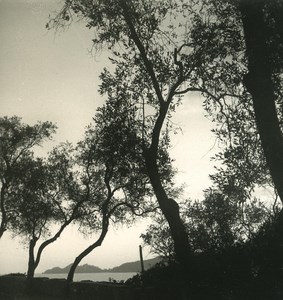 Italy Liguria Riviera Rapallo Zoagli Road Old NPG Stereo Photo 1900