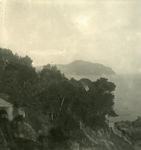 Italy Liguria Riviera Genoa Nervi Marina Old NPG Stereo Photo 1900